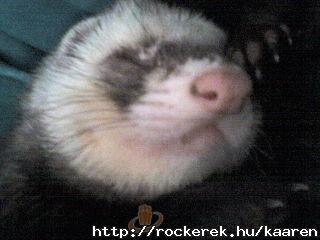 2007101611064051162