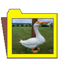 Hobbik, egyebek (4)