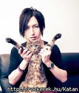 Tora-sama & Chicken