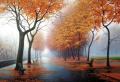 My Road