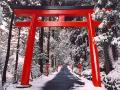 Japanese