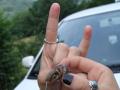 rocker csiga:)