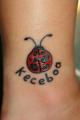Keceboa