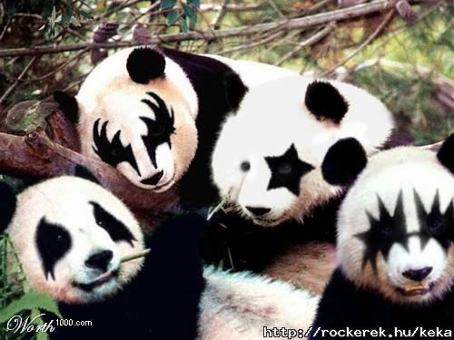 panda
