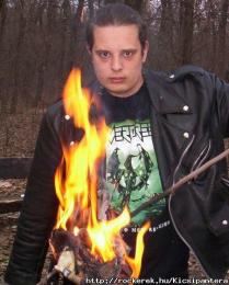 Kicsipantera