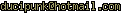 msn