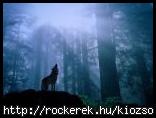 farkas_wolf16
