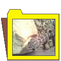 llataim (4)