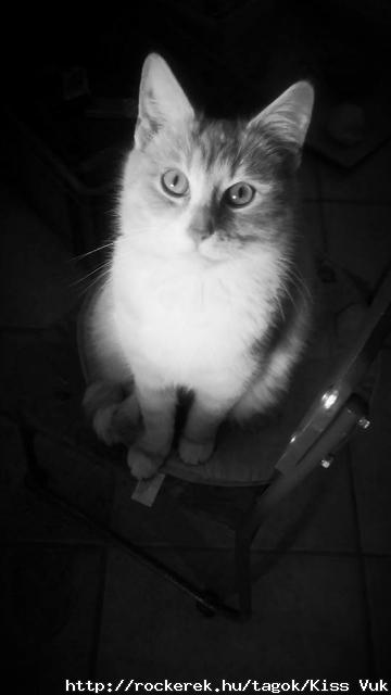Odin