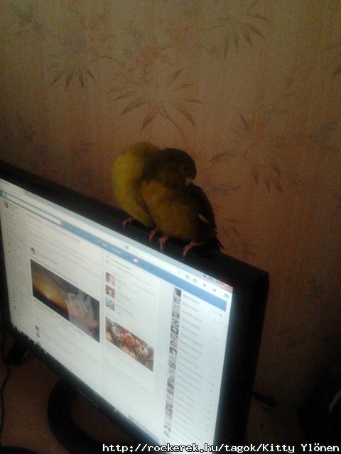 mi gy facebook-olunk :D