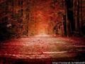 Forest of Blood