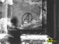 Live Anarchy!!!