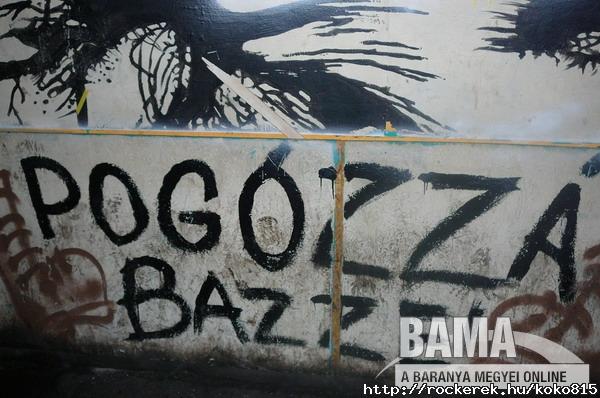 Pogozni j