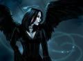 images (4)