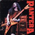 Pantera