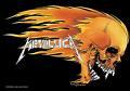 Metallica(L)