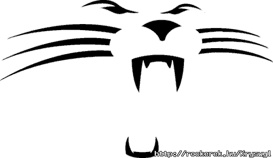 Carolina Panthers