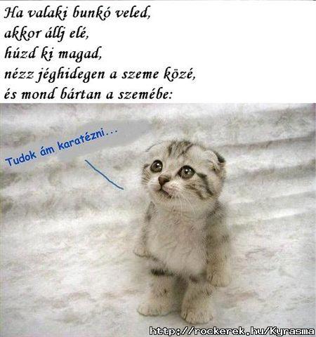 ne kezdj ki velem :D