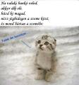 ne kezdj ki velem :D