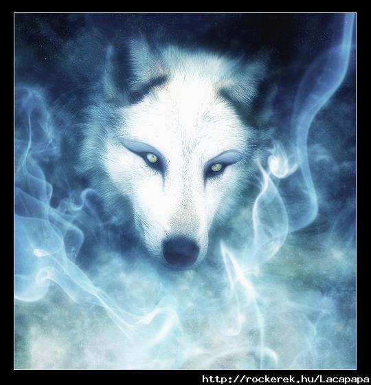 Wolf eyes