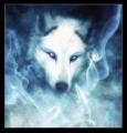 Wolf eyes