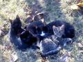 DSC0000191