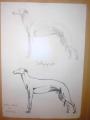 agr kutya grafit s toll rajz