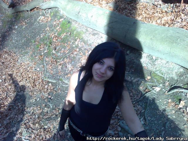 20100403410