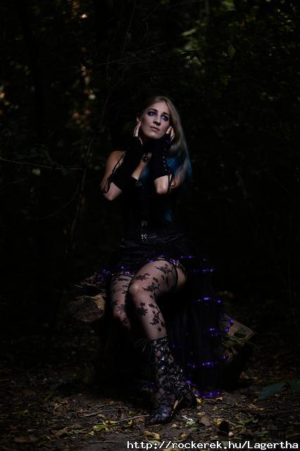 In the Forest