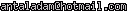 msn