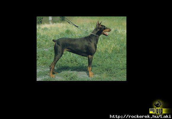 Lassie:)