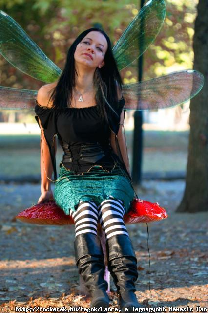 fairy