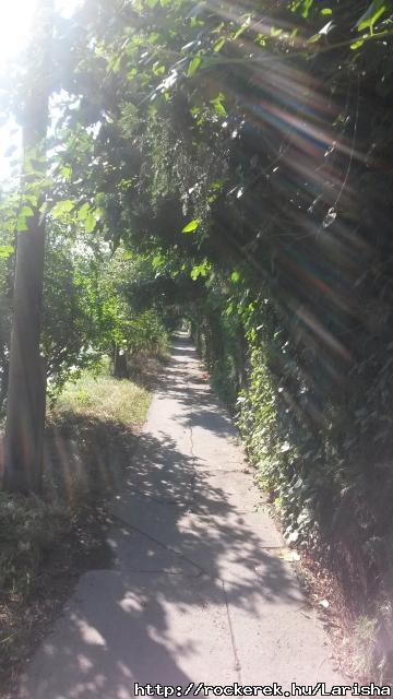 20150806_090307