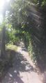 20150806_090307