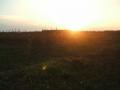 sugrcskosos :-)