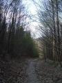 path