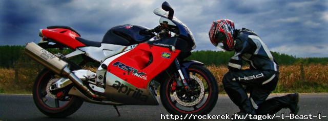 Aprilia RSV Mille 2000 Meghajlok elotted kiralyom, uram s parancsolom! Tiszteletem es hodolatom...