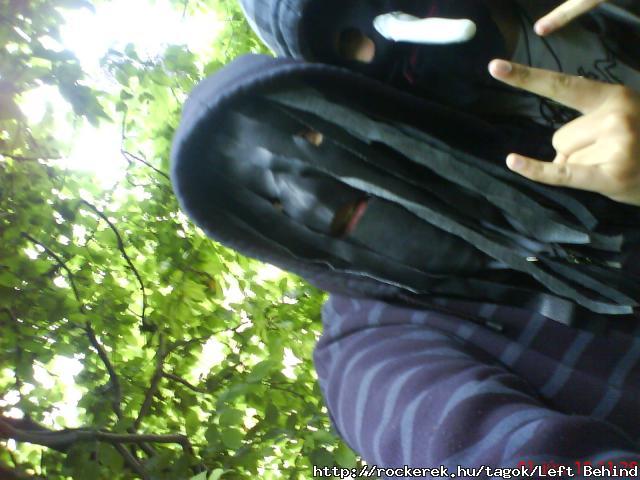 dfsf