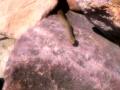 Pjgj_-0591_e1
