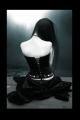 fallen-soul