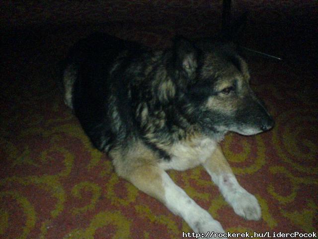 R.I.P :((:((:((:*