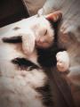 IMG_20200615_182442