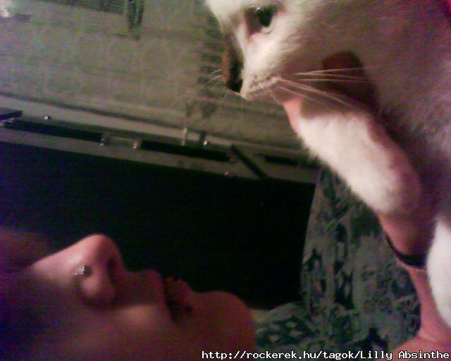 Lilly Absinthe & Little Me x