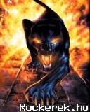 Panther