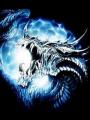 Dragon (1)