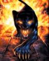 Panther