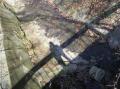 foto-49ca4bc755255