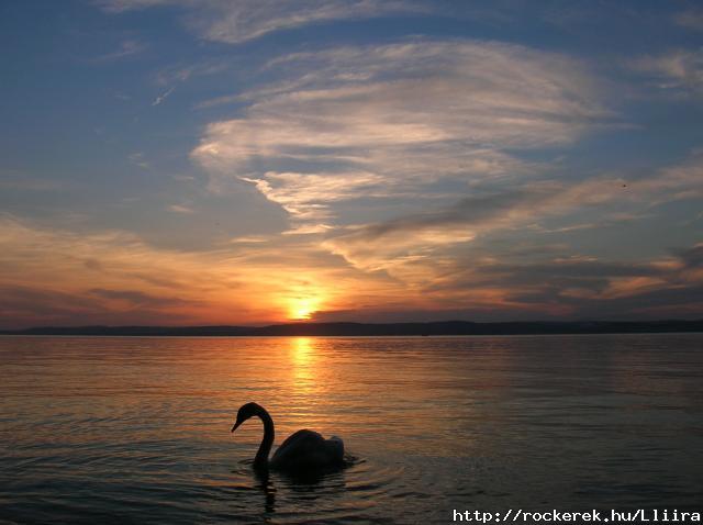Balaton