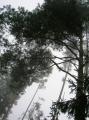 Szlovk Paradicsom
