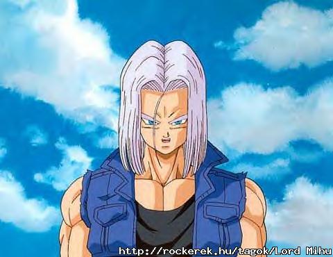 Future Trunks ( a kedvenc karakterem)